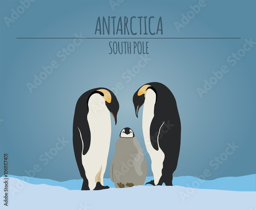Antarctica (South Pole) graphic template