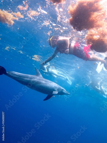 Schnorcheln mit Delfinen © grafikplusfoto