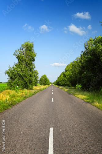 long asphalt road with green trees