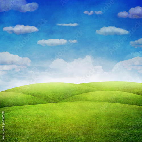 Panorama of green field with  cloudy sky background