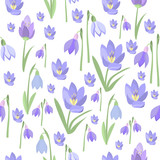 Early spring purple crocus and snowdrops nature beauty flowers vector. 