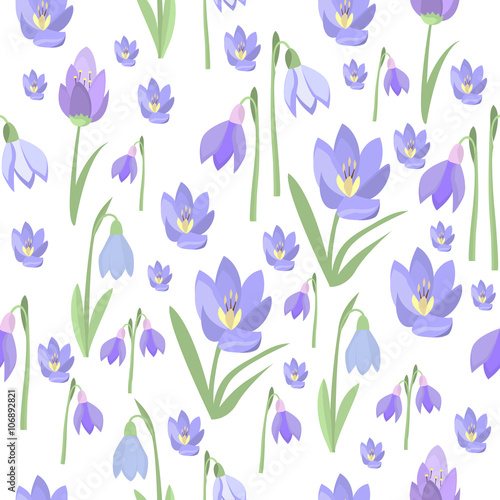 Early spring purple crocus and snowdrops nature beauty flowers vector. 