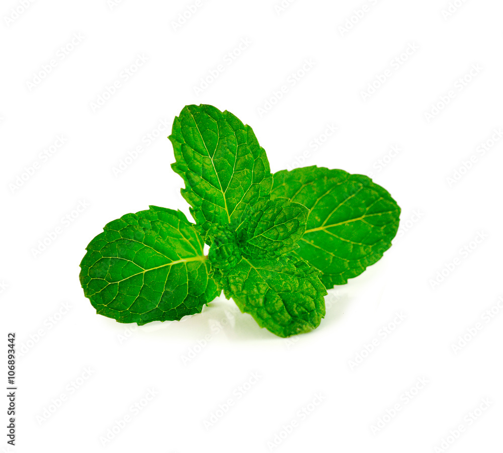 mint leaves isolated on white mint leaves isolated on white