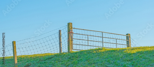 Fence on a sunlit dike in spring
