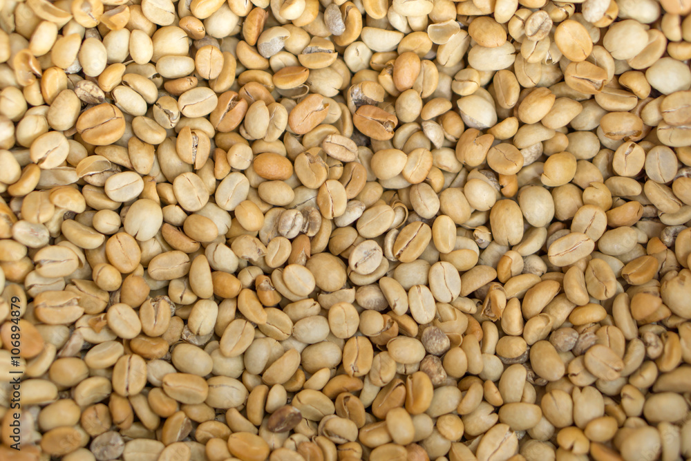 Dry coffee bean Dry coffee bean