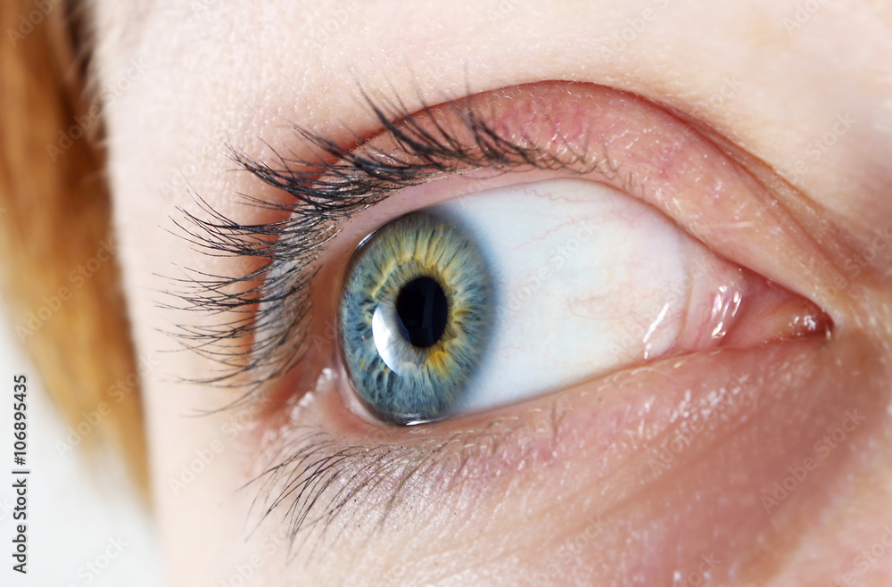 Obraz premium closeup of the beautiful female eye