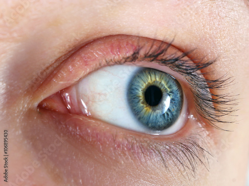 Fototapeta Naklejka Na Ścianę i Meble -  closeup of the beautiful female eye