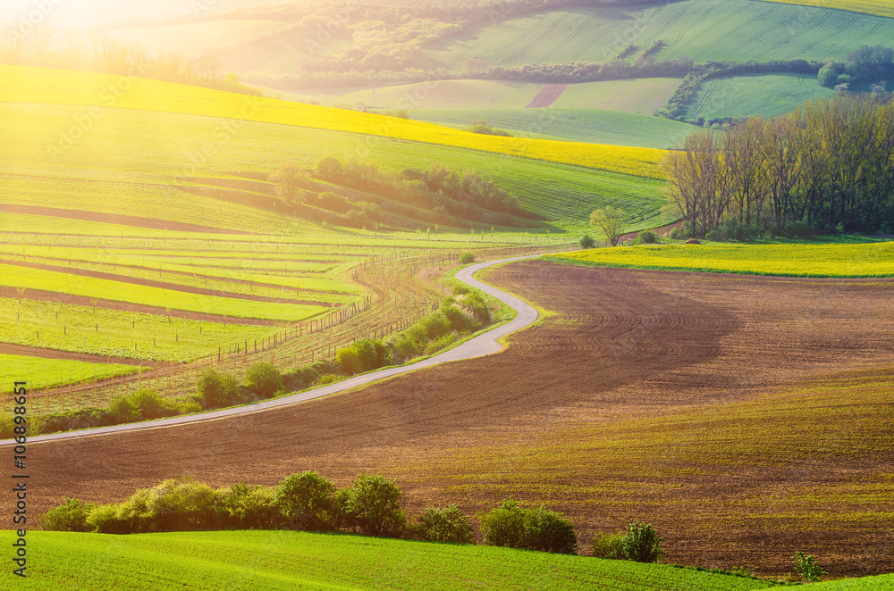 Rural sunny landscape with green fields, road and waves, South Moravia, Czech Republic