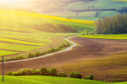 Rural sunny landscape with green fields, road and waves, South Moravia, Czech Republic © Roxana