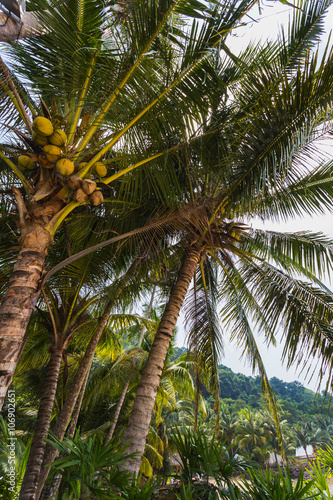 Beautiful tropical beach at island Koh Chang