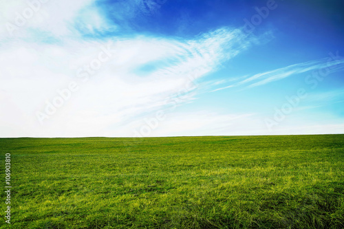 Green meadow with fresh grass with blue sky