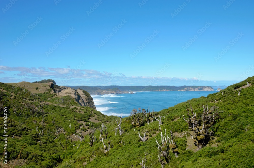Coastal view onto the Muelle de las Almas with a clear blue sky and green hills