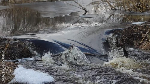 Водопад на бобровой плотине photo