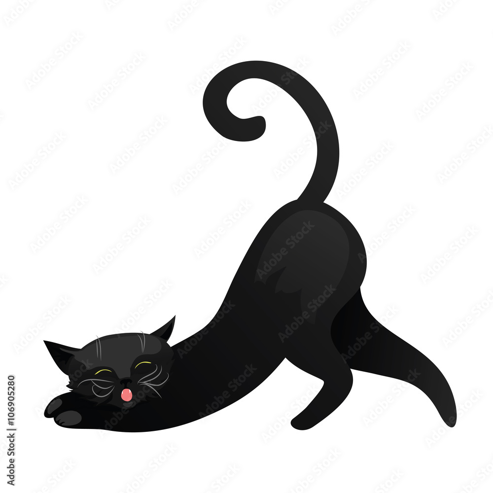 Black cat isolated on white background. Black cat isolated on white background.