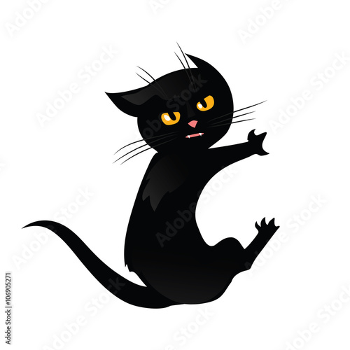 Black cat isolated on white background.
