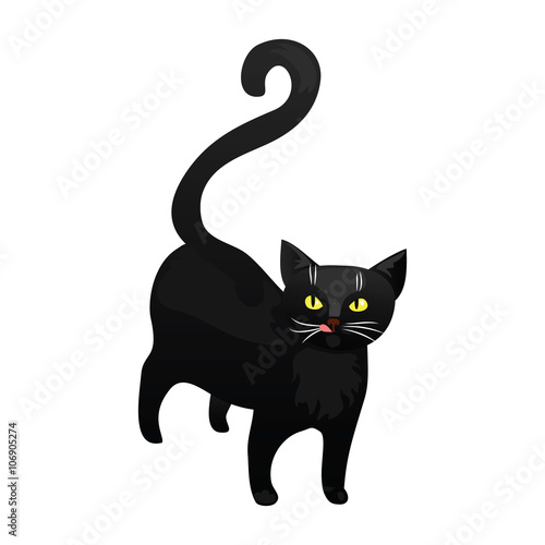 Black cat isolated on white background.