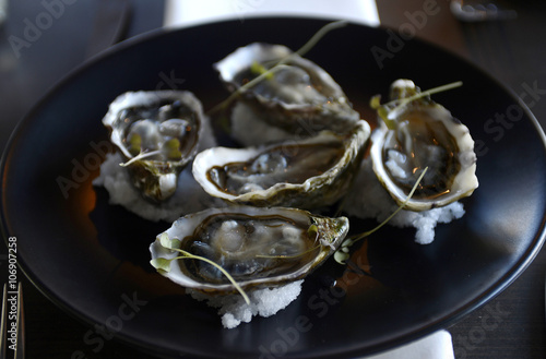 Still life gourmet food, plate of oysters