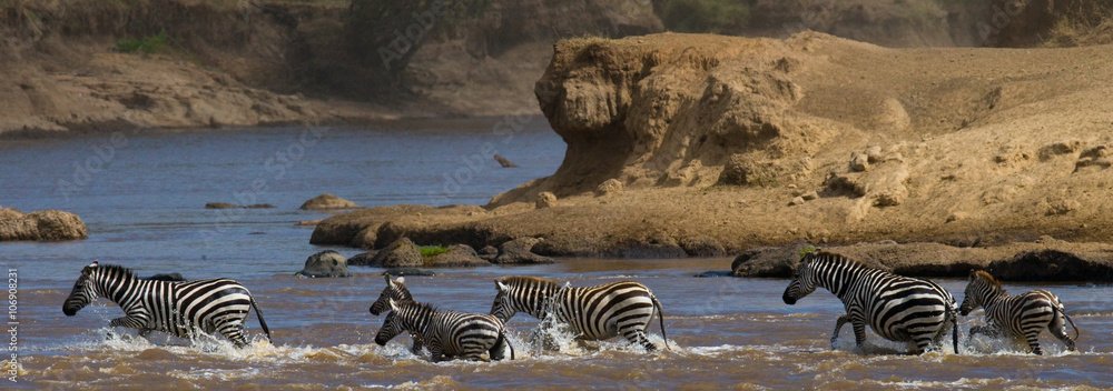 Fototapeta premium Wildebeests are crossing Mara river. Great Migration. Kenya. Tanzania. Masai Mara National Park. An excellent illustration.