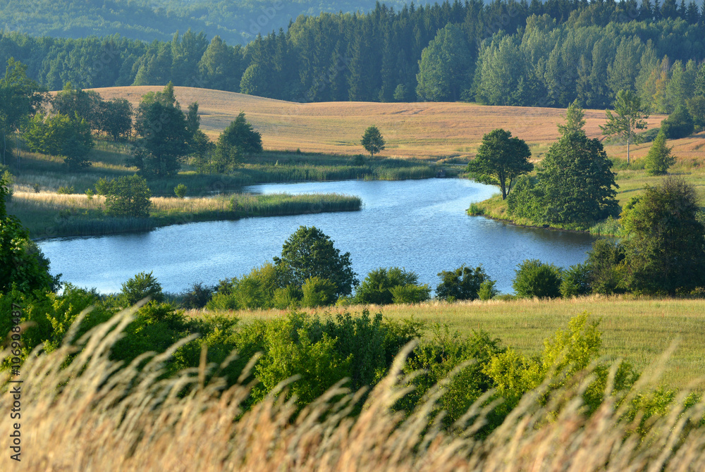 Summer landscape with meadows and lake