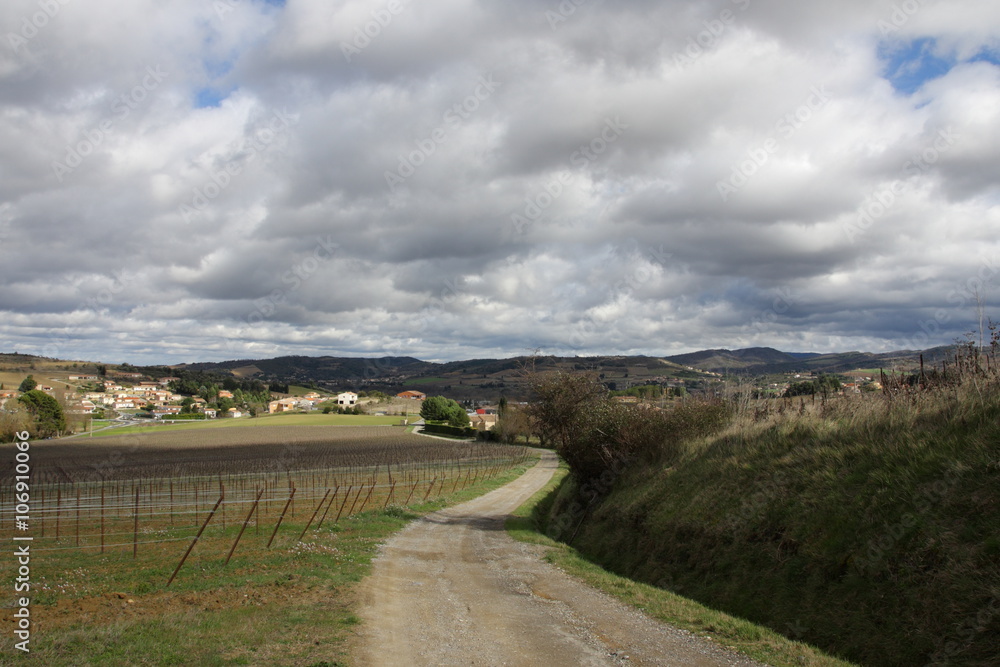 Chemin dans les vignes,Limouxin,Aude
