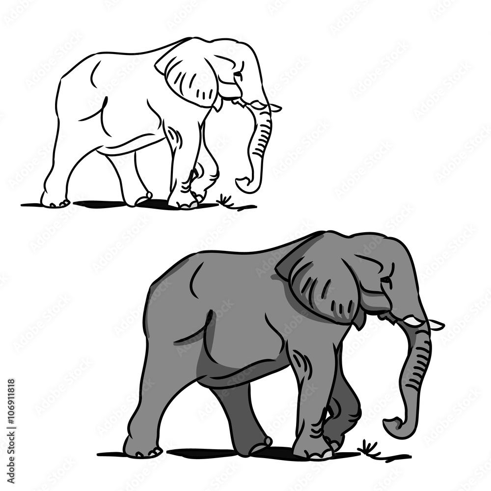 Fototapeta premium Grey big elephant (for coloring) 0