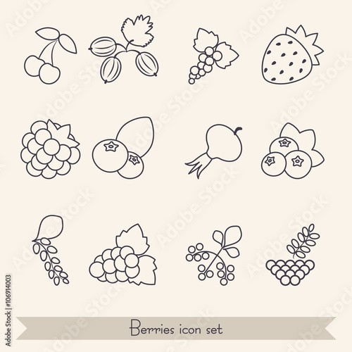 Set of berries icons