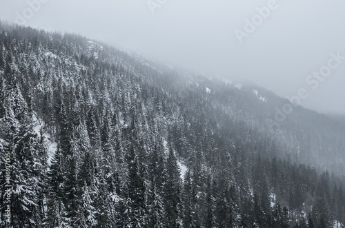 Winter Carpathian mountains, trees in the clouds, Babia Gora, Poland