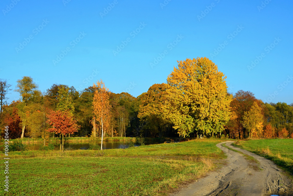 Autumn  meadow in the Czech Republic 2015
