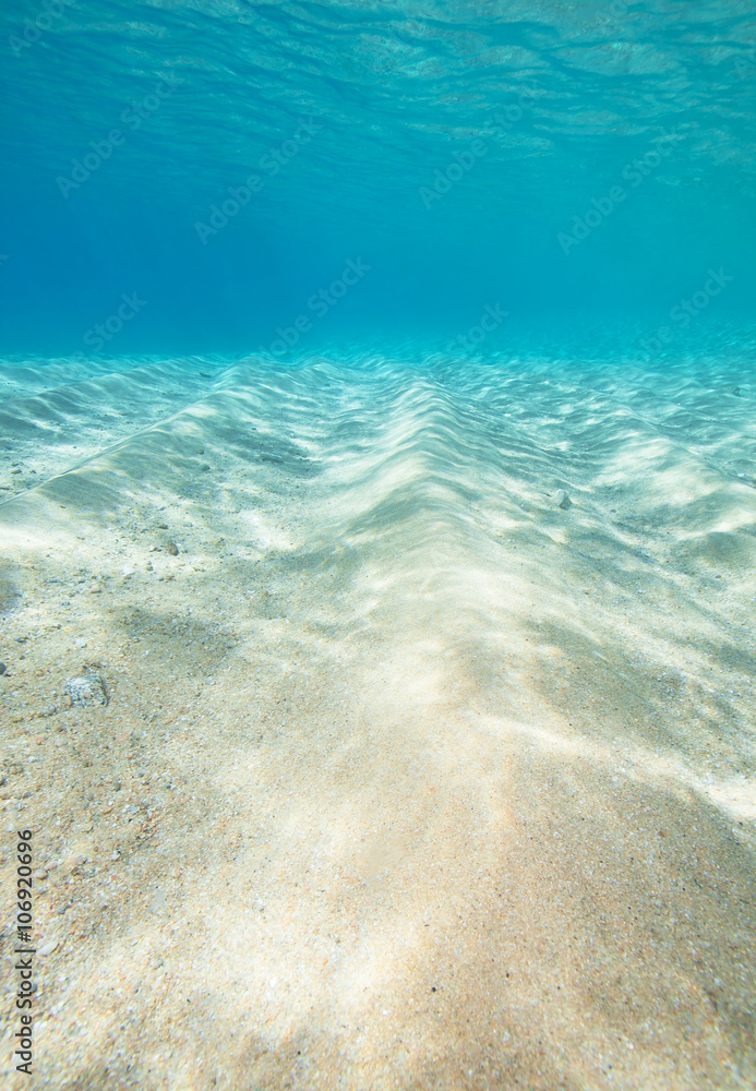 Fototapeta Underwater shot of the sea sandy bottom at sunny day