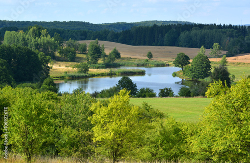 Summer landscape with fields and lake