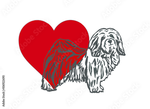 Havaneser Hund Liebe Vektor