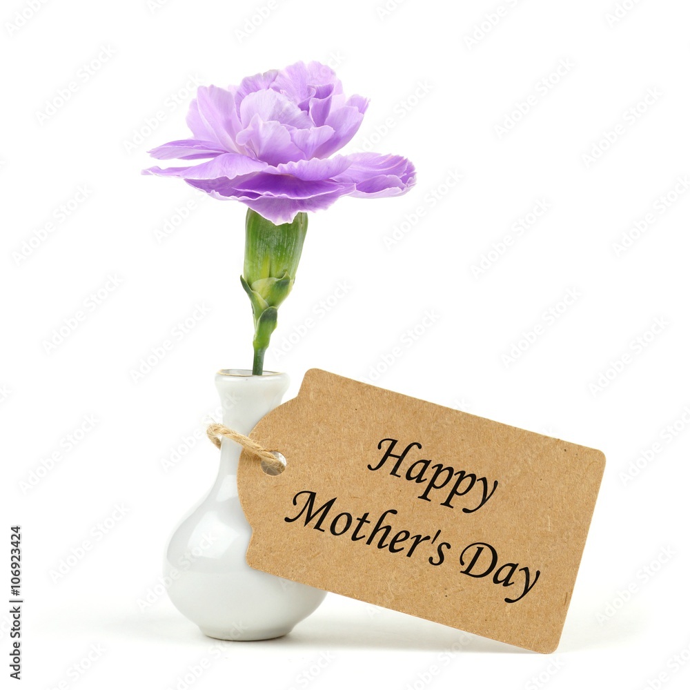 Happy Mother's Day tag with small vase and single purple carnation flower  against a white background Stock-Foto | Adobe Stock