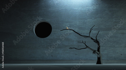 Bird on tree in dark space
