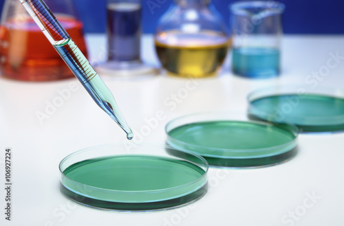 Pipetting: A pipette is used to transfer a small amount of liquid to a Petri dish