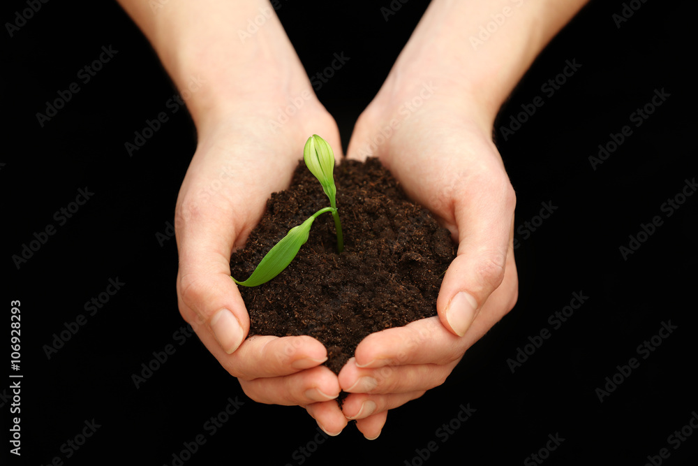 Female hands holding soil and plant on black background Female hands holding soil and plant on black background