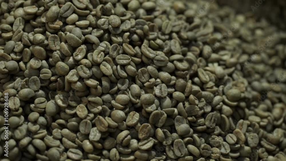 Grains of green coffee Grains of green coffee