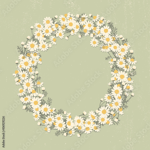 Fototapeta Naklejka Na Ścianę i Meble -  Vector floral frame with chamomile flowers and space for your text. Card for spring, summer, invitation, wedding designs.