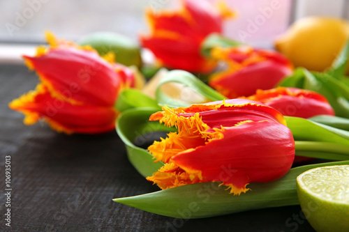 Fresh red tulips and citruses on black background, close up