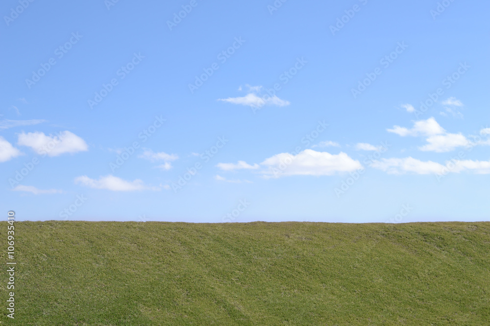 Naklejka premium Grass and the sky. Background. The slope of the dam, covered with spring grass. Blue sky with clouds.