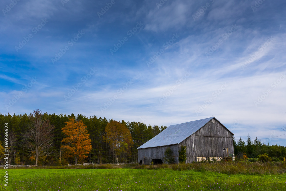 Obraz premium old wooden barn landscape