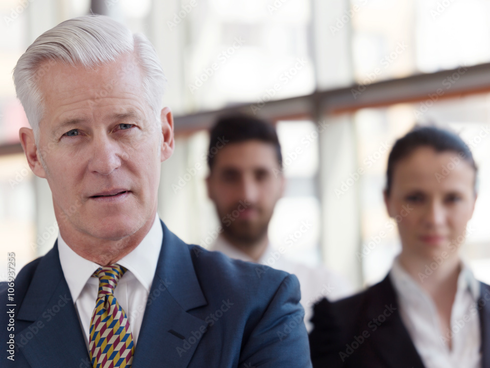 portrait of senior businessman as leader with staff in backgrou portrait of senior businessman as leader with staff in backgrou