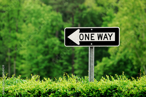 Φωτογραφία one way sign against green tree background