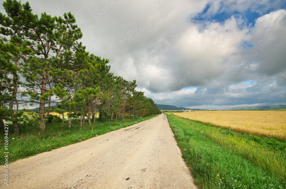 Road in meadow on sundown.