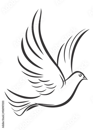 Sketch of the flying pigeon.