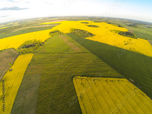 Areal view of blooming raps field