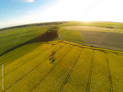 Canvas Print Areal view of blooming raps field