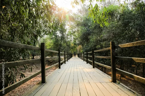 Obraz Zielony lasowy natura mosta ślad podczas zmierzchu.