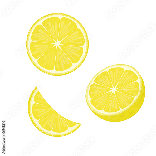 illustration lemon fruits on white ,vector