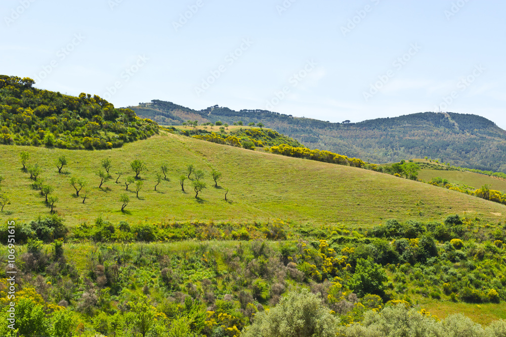 Obraz premium Landscape