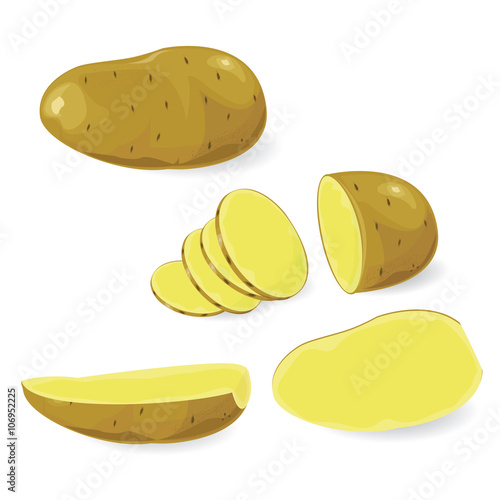 illustration potato 